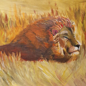 Lion in a well-fed nap.