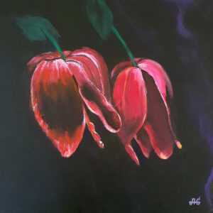 Tulips night.