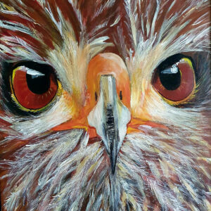 I will fly! Owlet.