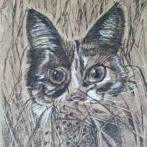 Little Hunter.