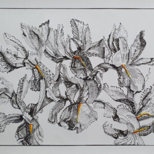 Seven Irises.